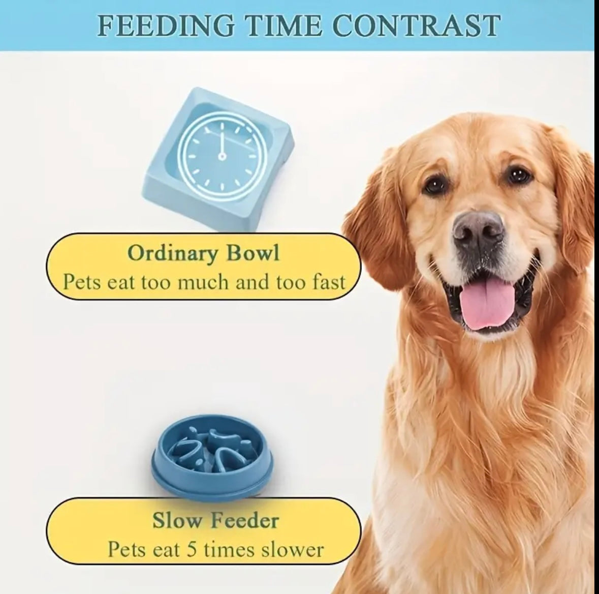 Slow Feeder Bowl (blue)